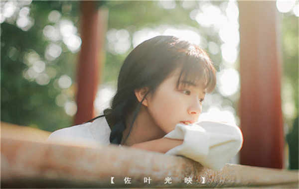 西湖胎儿性别鉴定需要多少钱(胎儿性别鉴定的方法)